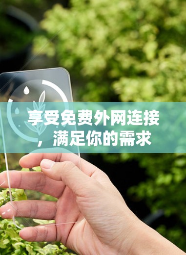 享受免费外网连接，满足你的需求