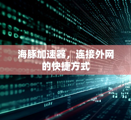 海豚加速器，连接外网的快捷方式