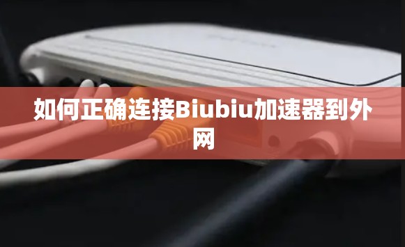 如何正确连接Biubiu加速器到外网
