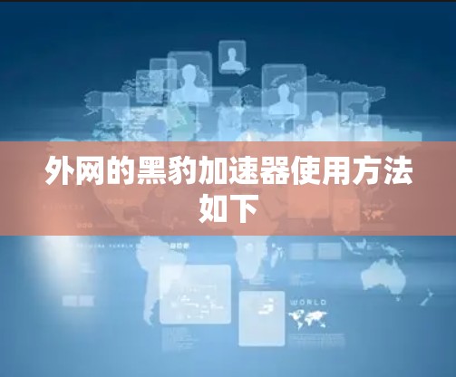外网的黑豹加速器使用方法如下