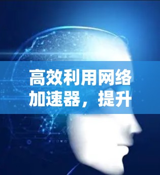 高效利用网络加速器，提升网络连接速度与体验