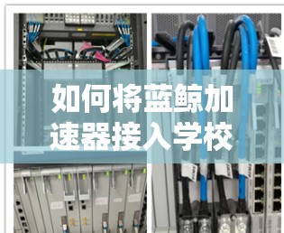 如何将蓝鲸加速器接入学校网络(上外网) 如何将蓝鲸加速器接入学校网络(上外网)