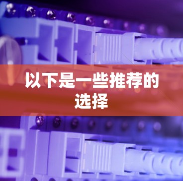 以下是一些推荐的选择