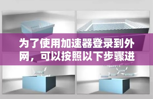 为了使用加速器登录到外网，可以按照以下步骤进行