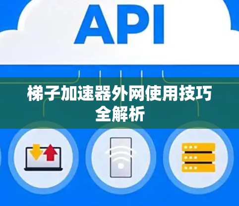 梯子加速器外网使用技巧全解析 梯子加速器外网使用技巧全解析