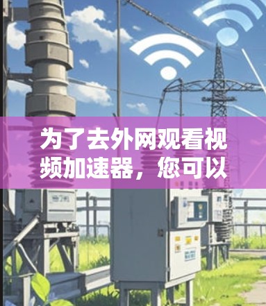 为了去外网观看视频加速器，您可以按照以下步骤操作
