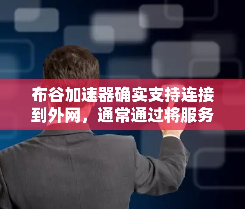 布谷加速器确实支持连接到外网，通常通过将服务器设为国际类型，或使用国际互联网功能来连接。以下是详细的步骤说明