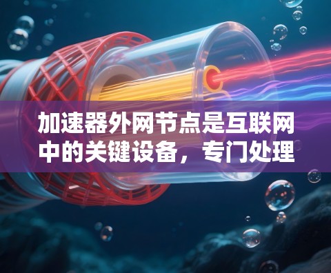 加速器外网节点是互联网中的关键设备，专门处理来自外部网络的流量。以下是关于加速器外网节点的详细说明