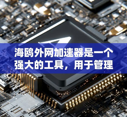 海鸥外网加速器是一个强大的工具，用于管理网络连接，提升网络性能和安全性。以下是一步步的使用指南