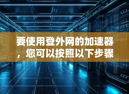 要使用登外网的加速器，您可以按照以下步骤操作