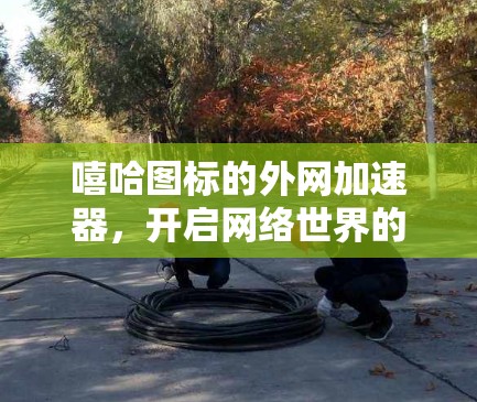 嘻哈图标的外网加速器，开启网络世界的新篇章