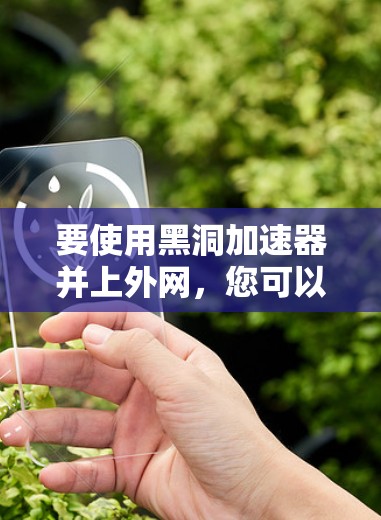 要使用黑洞加速器并上外网，您可以按照以下步骤操作