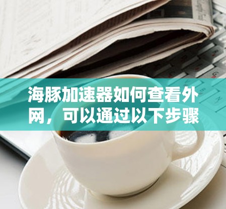 海豚加速器如何查看外网，可以通过以下步骤进行操作