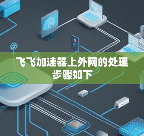 飞飞加速器上外网的处理步骤如下