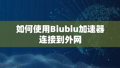 如何使用Biubiu加速器连接到外网