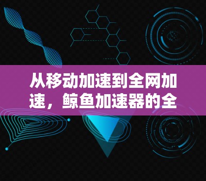 从移动加速到全网加速，鲸鱼加速器的全网版本