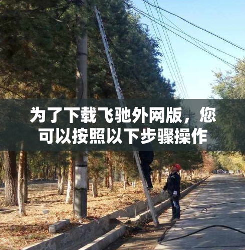 为了下载飞驰外网版，您可以按照以下步骤操作