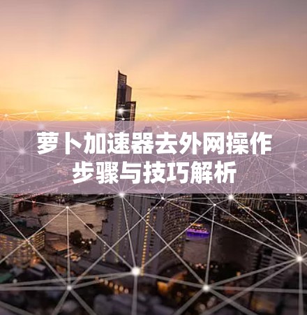 萝卜加速器去外网操作步骤与技巧解析