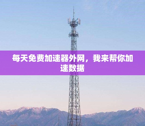 每天免费加速器外网，我来帮你加速数据