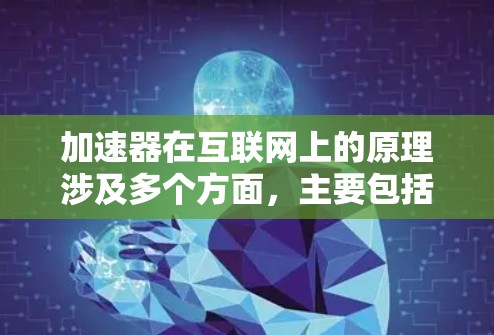 加速器在互联网上的原理涉及多个方面，主要包括硬件与软件协同、网络兼容性、多设备支持、优化功能、扩展性和安全保护。以下是详细解释