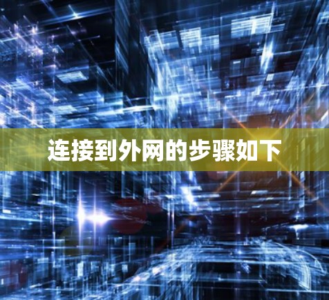 连接到外网的步骤如下