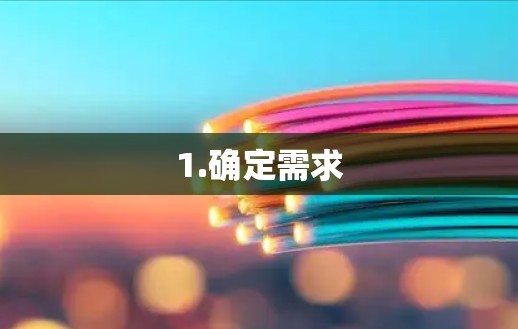 1.确定需求