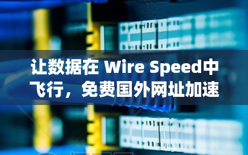 让数据在 Wire Speed中飞行，免费国外网址加速器合集
