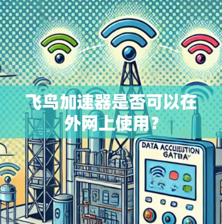 飞鸟加速器是否可以在外网上使用？