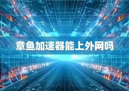 章鱼加速器能上外网吗