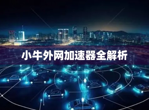 小牛外网加速器全解析