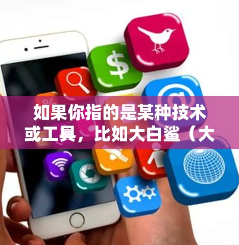 如果你指的是某种技术或工具，比如大白鲨（大白鲨）相关的加速器技术，或者是大白鲨（大白鲨）与某种技术（如网络加速器、数据传输加速器）的结合使用，那么可能需要更多的上下文信息来提供准确的解释