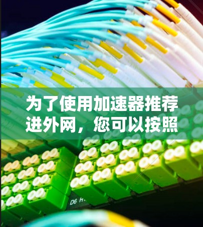 为了使用加速器推荐进外网，您可以按照以下步骤操作