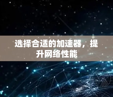 选择合适的加速器，提升网络性能