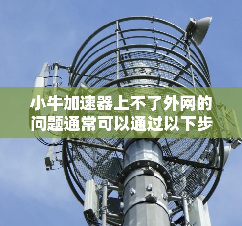 小牛加速器上不了外网的问题通常可以通过以下步骤排查并解决