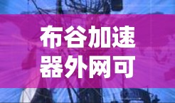 布谷加速器外网可用，你只需一招制胜