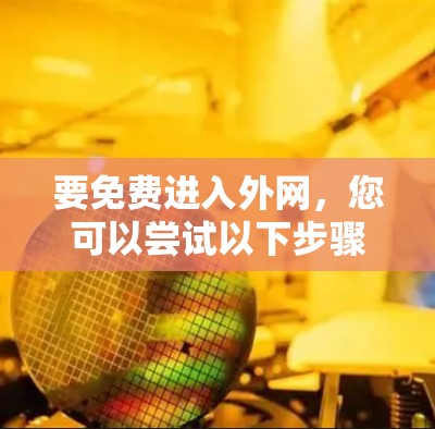 要免费进入外网，您可以尝试以下步骤