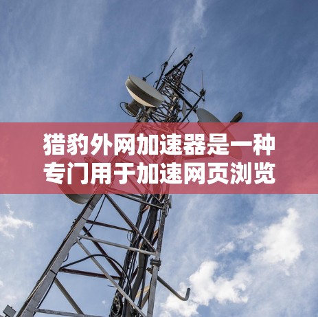 猎豹外网加速器是一种专门用于加速网页浏览和下载的网站工具，帮助用户更快访问网页和下载文件。以下是一步步的使用指南