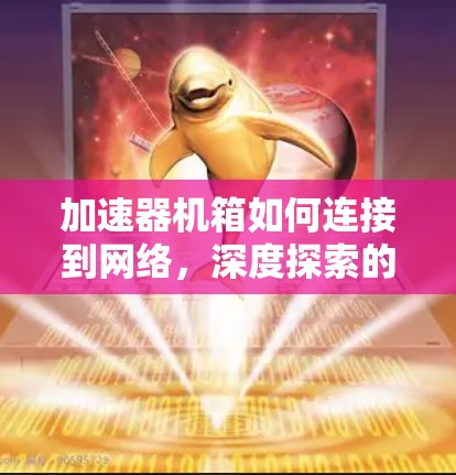 加速器机箱如何连接到网络,深度探索的连接之谜 加速器机箱如何连接到网络,深度探索的连接之谜