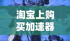 淘宝上购买加速器的步骤如下
