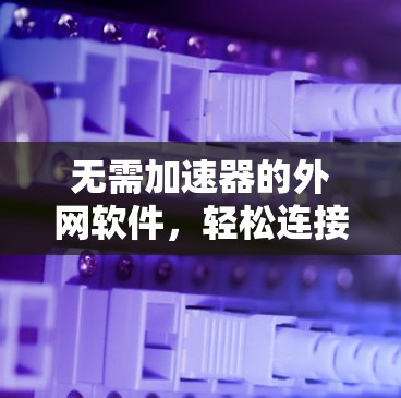 无需加速器的外网软件，轻松连接，高效管理