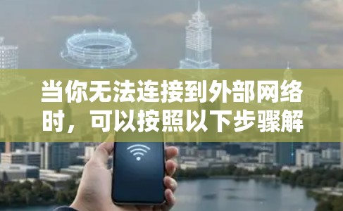 当你无法连接到外部网络时，可以按照以下步骤解决问题