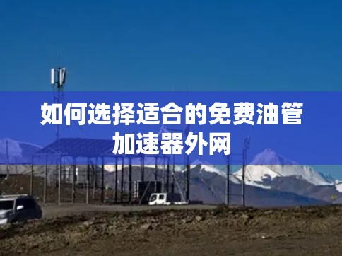 如何选择适合的免费油管加速器外网
