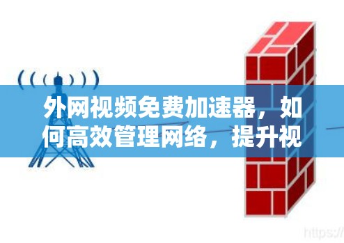 外网视频免费加速器，如何高效管理网络，提升视频质量