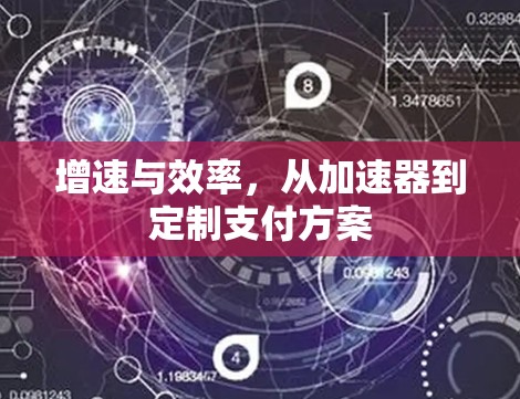 增速与效率，从加速器到定制支付方案