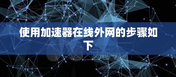 使用加速器在线外网的步骤如下