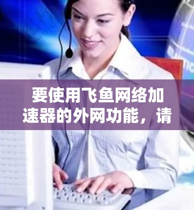 要使用飞鱼网络加速器的外网功能，请按照以下步骤操作