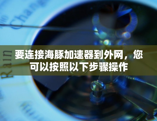 要连接海豚加速器到外网，您可以按照以下步骤操作