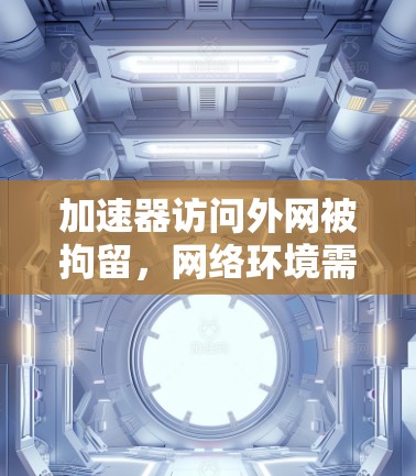 加速器访问外网被拘留，网络环境需严格保护