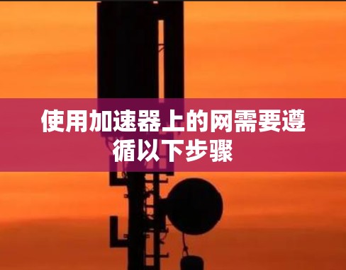 使用加速器上的网需要遵循以下步骤