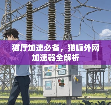 猫厅加速必备，猫喱外网加速器全解析